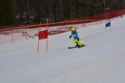 Vilciņa kauss, 2.posms - Fans balvas izcīņa, Foto: M.Pole