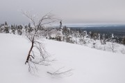 FIS Baltic Cup 2018 3. posms, jauniešu un meistaru GS, Foto: Emīls Lukšo