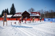 FIS Latvijas Čempionāts 2018 otrais posms, sprints C, Foto: Jānis Vīksna