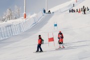 FIS Baltic Cup 2018 3. posms, jauniešu un meistaru GS, Foto: Emīls Lukšo