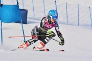 FIS Baltic Cup 2018 3. posms, jauniešu un meistaru GS, Foto: Emīls Lukšo