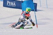 FIS Baltic Cup 2018 3. posms, jauniešu un meistaru GS, Foto: Emīls Lukšo