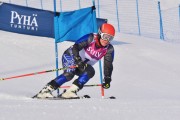 FIS Baltic Cup 2018 3. posms, jauniešu un meistaru GS, Foto: Emīls Lukšo