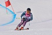 FIS Baltic Cup 2018 3. posms, jauniešu un meistaru GS, Foto: Emīls Lukšo