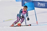 FIS Baltic Cup 2018 3. posms, jauniešu un meistaru GS, Foto: Emīls Lukšo