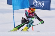 FIS Baltic Cup 2018 3. posms, jauniešu un meistaru GS, Foto: Emīls Lukšo