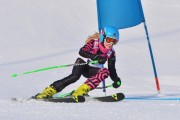 FIS Baltic Cup 2018 3. posms, jauniešu un meistaru GS, Foto: Emīls Lukšo