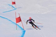 FIS Baltic Cup 2018 3. posms, jauniešu un meistaru GS, Foto: Emīls Lukšo