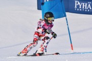 FIS Baltic Cup 2018 3. posms, jauniešu un meistaru GS, Foto: Emīls Lukšo