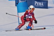 FIS Baltic Cup 2018 3. posms, jauniešu un meistaru GS, Foto: Emīls Lukšo