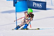 FIS Baltic Cup 2018 3. posms, jauniešu un meistaru GS, Foto: Emīls Lukšo