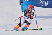 FIS Baltic Cup 2018 3. posms, jauniešu un meistaru GS, Foto: Emīls Lukšo