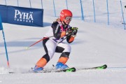 FIS Baltic Cup 2018 3. posms, jauniešu un meistaru GS, Foto: Emīls Lukšo