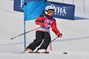 FIS Baltic Cup 2018 3. posms, jauniešu un meistaru GS, Foto: Emīls Lukšo