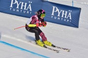 FIS Baltic Cup 2018 3. posms, jauniešu un meistaru GS, Foto: Emīls Lukšo