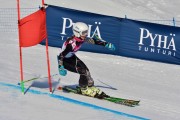 FIS Baltic Cup 2018 3. posms, jauniešu un meistaru GS, Foto: Emīls Lukšo