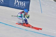 FIS Baltic Cup 2018 3. posms, jauniešu un meistaru GS, Foto: Emīls Lukšo