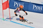 FIS Baltic Cup 2018 3. posms, jauniešu un meistaru GS, Foto: Emīls Lukšo