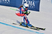 FIS Baltic Cup 2018 3. posms, jauniešu un meistaru GS, Foto: Emīls Lukšo