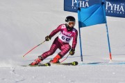 FIS Baltic Cup 2018 3. posms, jauniešu un meistaru GS, Foto: Emīls Lukšo