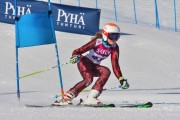 FIS Baltic Cup 2018 3. posms, jauniešu un meistaru GS, Foto: Emīls Lukšo