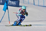 FIS Baltic Cup 2018 3. posms, jauniešu un meistaru GS, Foto: Emīls Lukšo