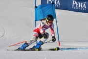 FIS Baltic Cup 2018 3. posms, jauniešu un meistaru GS, Foto: Emīls Lukšo