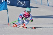 FIS Baltic Cup 2018 3. posms, jauniešu un meistaru GS, Foto: Emīls Lukšo