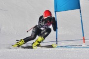 FIS Baltic Cup 2018 3. posms, jauniešu un meistaru GS, Foto: Emīls Lukšo