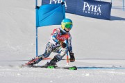 FIS Baltic Cup 2018 3. posms, jauniešu un meistaru GS, Foto: Emīls Lukšo