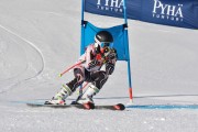 FIS Baltic Cup 2018 3. posms, jauniešu un meistaru GS, Foto: Emīls Lukšo