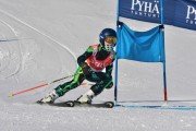 FIS Baltic Cup 2018 3. posms, jauniešu un meistaru GS, Foto: Emīls Lukšo