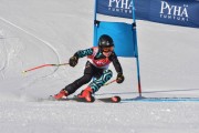 FIS Baltic Cup 2018 3. posms, jauniešu un meistaru GS, Foto: Emīls Lukšo