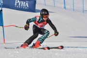 FIS Baltic Cup 2018 3. posms, jauniešu un meistaru GS, Foto: Emīls Lukšo