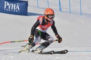 FIS Baltic Cup 2018 3. posms, jauniešu un meistaru GS, Foto: Emīls Lukšo