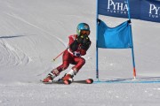 FIS Baltic Cup 2018 3. posms, jauniešu un meistaru GS, Foto: Emīls Lukšo