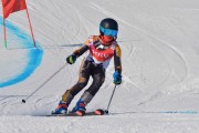 FIS Baltic Cup 2018 3. posms, jauniešu un meistaru GS, Foto: Emīls Lukšo