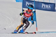 FIS Baltic Cup 2018 3. posms, jauniešu un meistaru GS, Foto: Emīls Lukšo