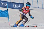 FIS Baltic Cup 2018 3. posms, jauniešu un meistaru GS, Foto: Emīls Lukšo