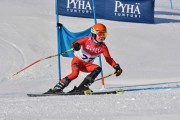 FIS Baltic Cup 2018 3. posms, jauniešu un meistaru GS, Foto: Emīls Lukšo