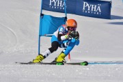 FIS Baltic Cup 2018 3. posms, jauniešu un meistaru GS, Foto: Emīls Lukšo