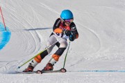 FIS Baltic Cup 2018 3. posms, jauniešu un meistaru GS, Foto: Emīls Lukšo