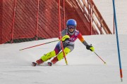 FIS Baltijas kauss 2022 4.posms, FIS paralēlais slaloms, Foto: E.Lukšo