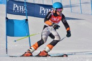 FIS Baltic Cup 2018 3. posms, jauniešu un meistaru GS, Foto: Emīls Lukšo