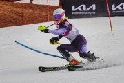 FIS Baltijas kauss 2022 4.posms, FIS paralēlais slaloms, Foto: E.Lukšo