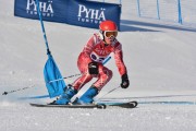 FIS Baltic Cup 2018 3. posms, jauniešu un meistaru GS, Foto: Emīls Lukšo