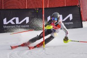 FIS Baltijas kauss 2022 4.posms, FIS paralēlais slaloms, Foto: E.Lukšo