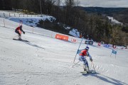 FIS Baltijas kauss 2022 4.posms, FIS paralēlais slaloms, Foto: E.Lukšo