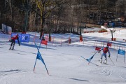 FIS Baltijas kauss 2022 4.posms, FIS paralēlais slaloms, Foto: E.Lukšo