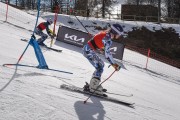 FIS Baltijas kauss 2022 4.posms, FIS paralēlais slaloms, Foto: E.Lukšo